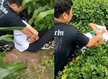 เพื่อนข่มขืนในสวนฟักทอง